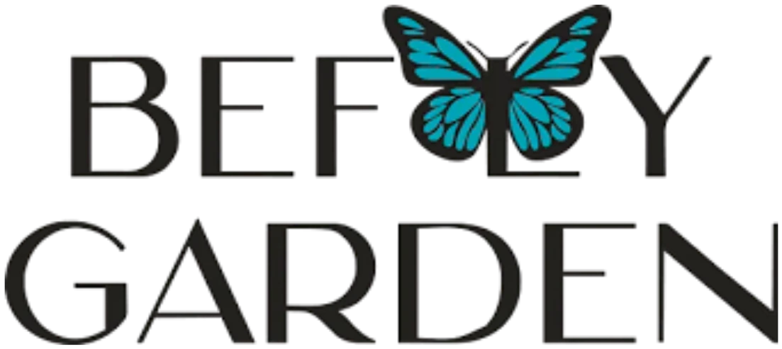 Logo Befly